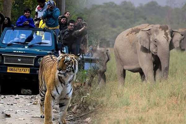 Jim Corbett